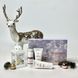 Подарунковий набір EXO SKIN REPAIR SET ERICSON LABORATOIRE EXO-SKINSET фото 2
