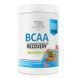 BCAA Recovery - 500g Watermelon 13134 фото 1